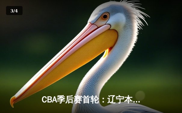 CBA季后赛首轮：辽宁本钢逆转北京首钢，郭艾伦关键三分锁定胜局 - 3