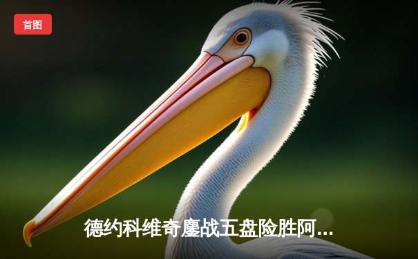 德约科维奇鏖战五盘险胜阿尔卡拉斯 第47次挺进大满贯四强创历史