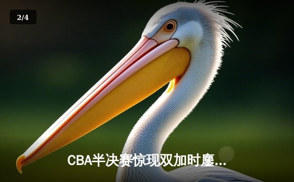 CBA半决赛惊现双加时鏖战 辽宁本钢逆转广东宏远夺赛点 - 2